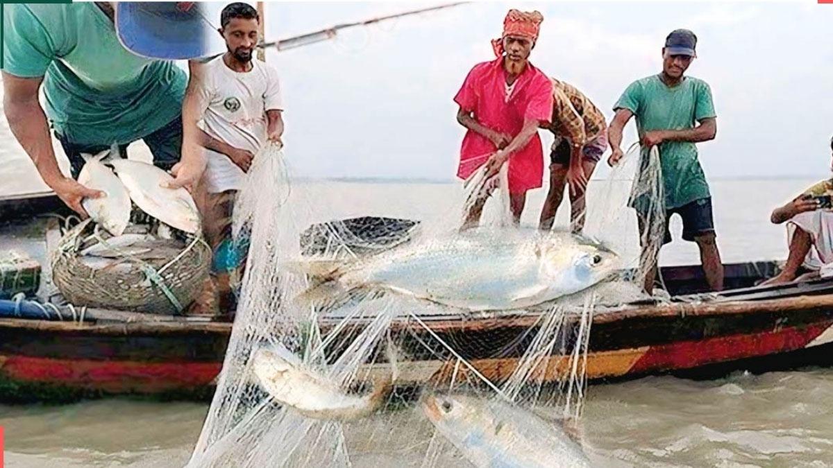 ই‌লিশ বাঁচা‌তে অভয়াশ্রমে ২ মাসের নি‌ষেধাজ্ঞা
