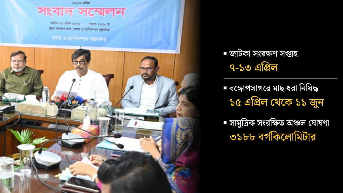 ইলিশ বাড়াতে জাটকা সংরক্ষণে জোর দিচ্ছে সরকার