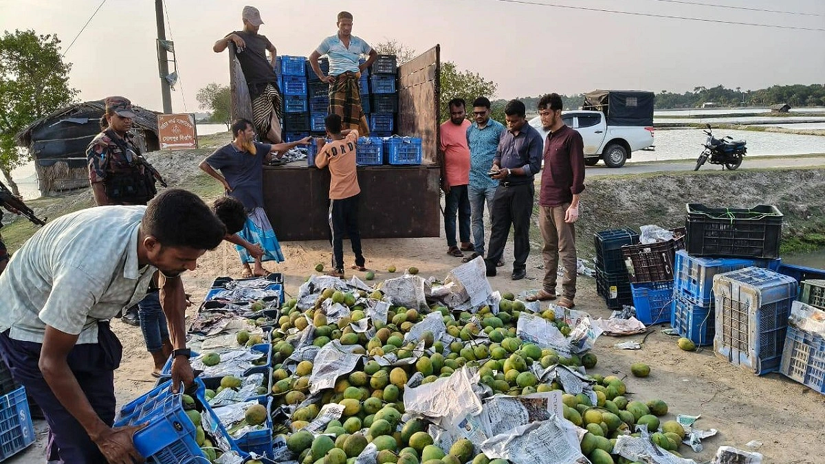তিন হাজার কেজি অপরিপক্ক আম জব্দ, জরিমানা