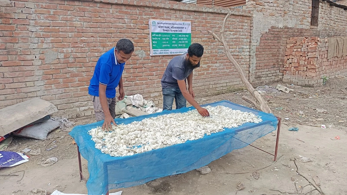 বর্জ্য নয় সম্পদ, মাছের আঁইশে বদলাচ্ছে চুয়াডাঙ্গার অর্থনীতি