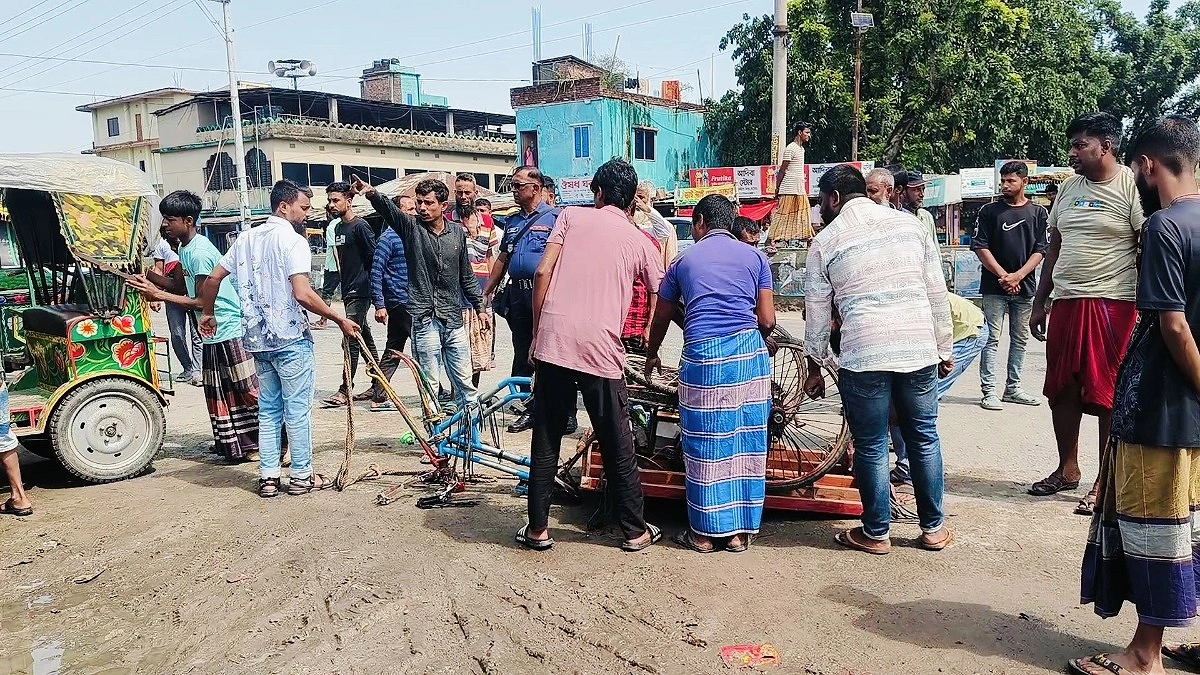 ছাগল কিনে বাড়ি ফিরছিলেন, পথে ট্রাকের ধাক্কায় মৃত্যু