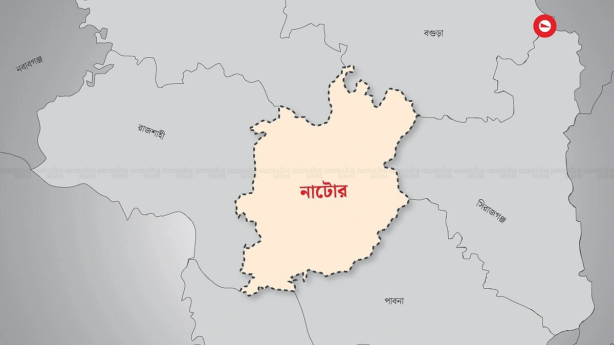 ৭ম শ্রেণির কিশোরী অন্তঃসত্ত্বা, বাবা-ছেলে গ্রেপ্তার