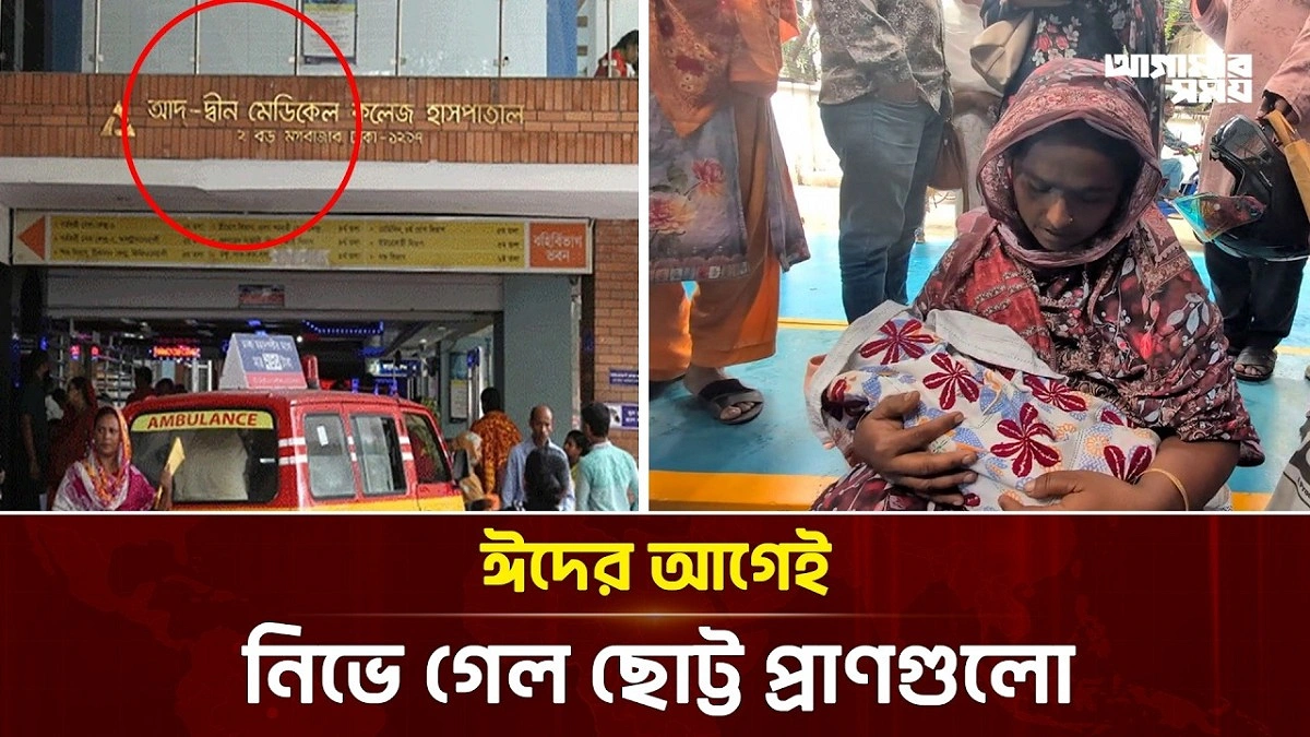 Video news 4