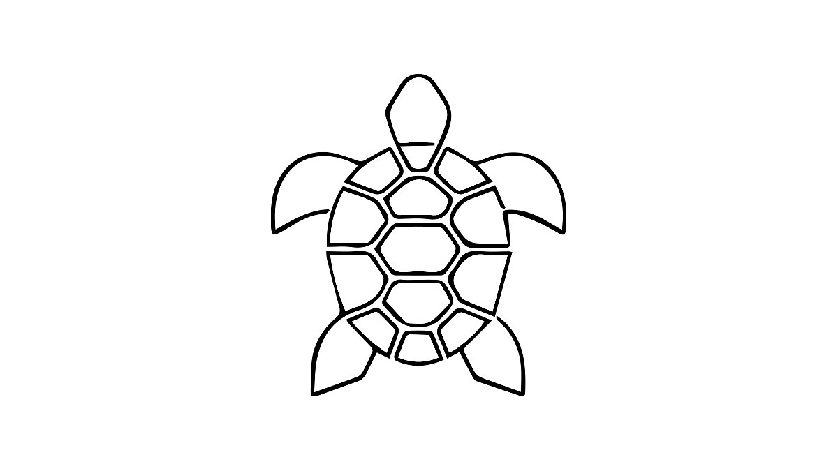 ১৬৩ কচ্ছপের বাচ্চা মুক্ত