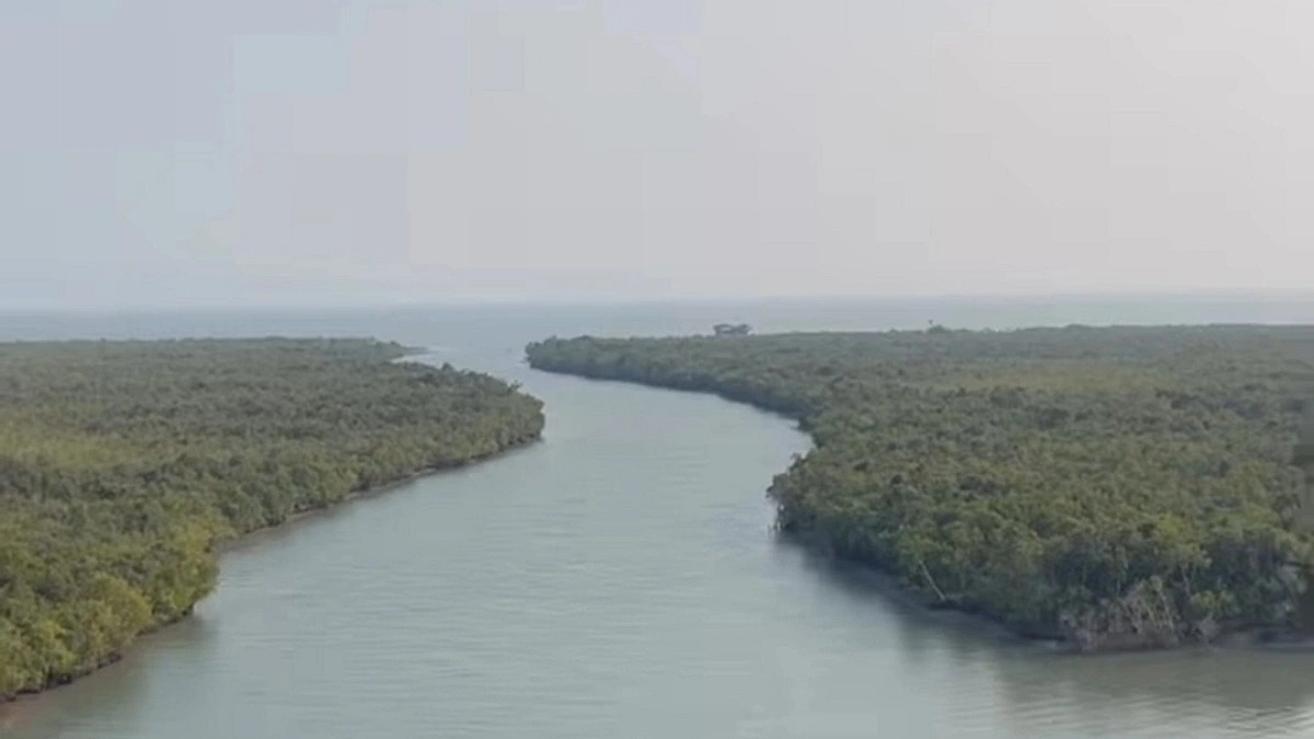 ১ জুন থেকে ৩ মাসের জন্য বন্ধ সুন্দরবনের দ্বার