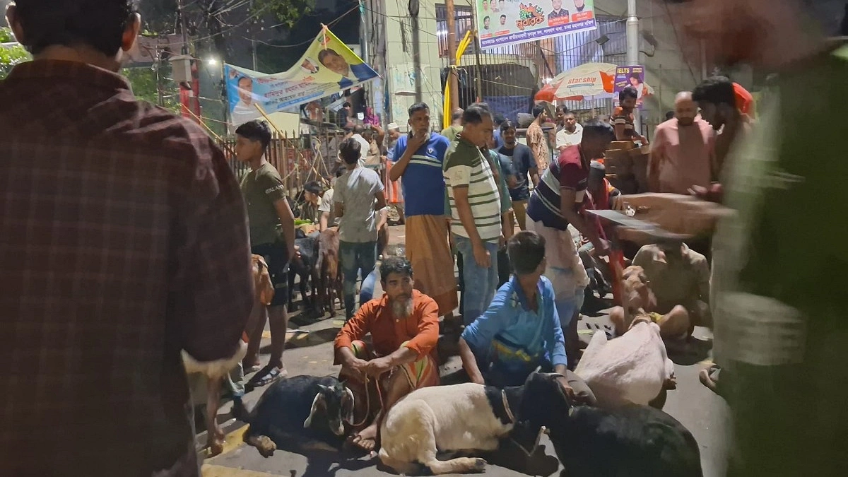 পলাশীর মোড়ে জমজমাট পশুর হাট