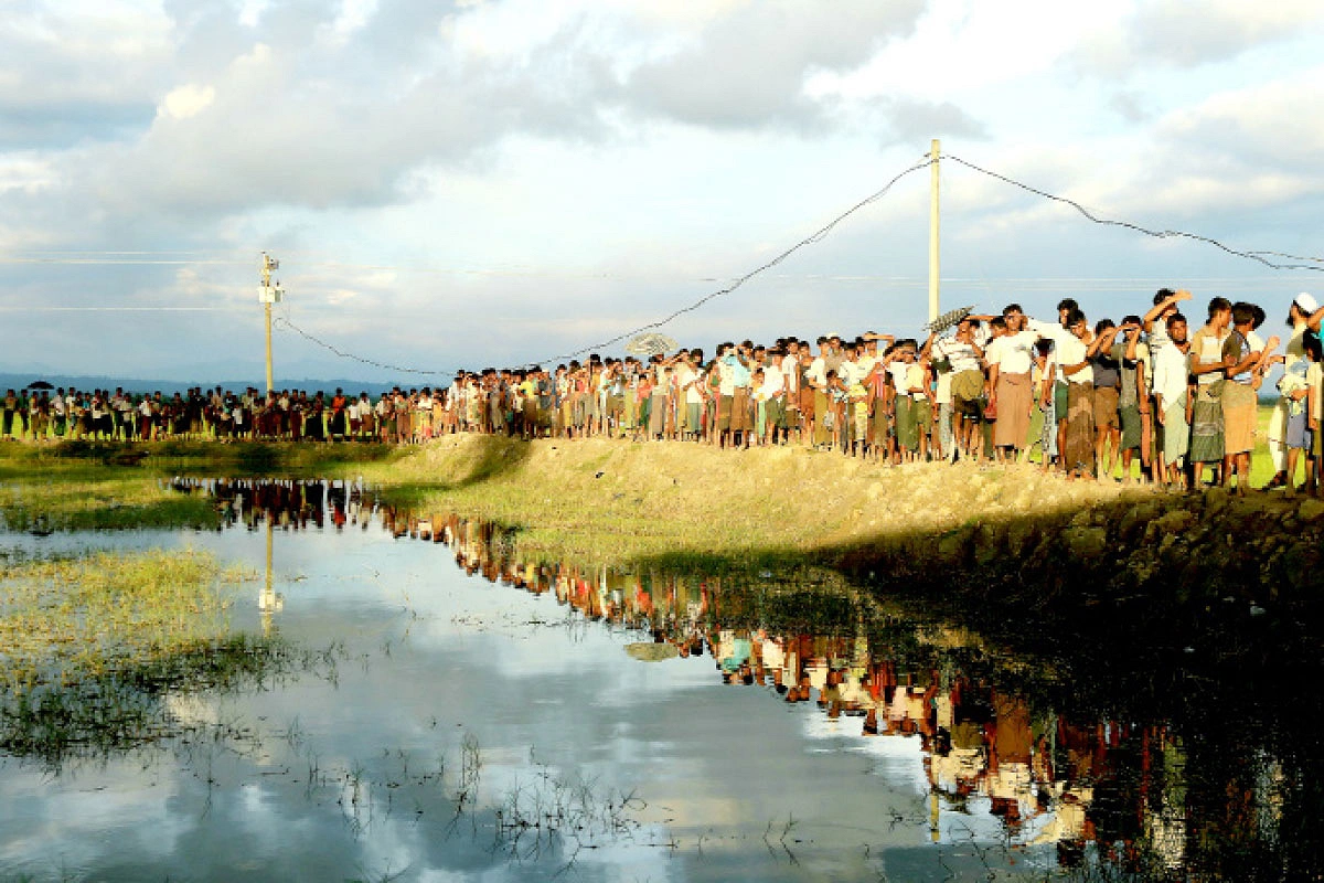 ছবি: আশরাফুল আলম ছবি: আশরাফুল আলম