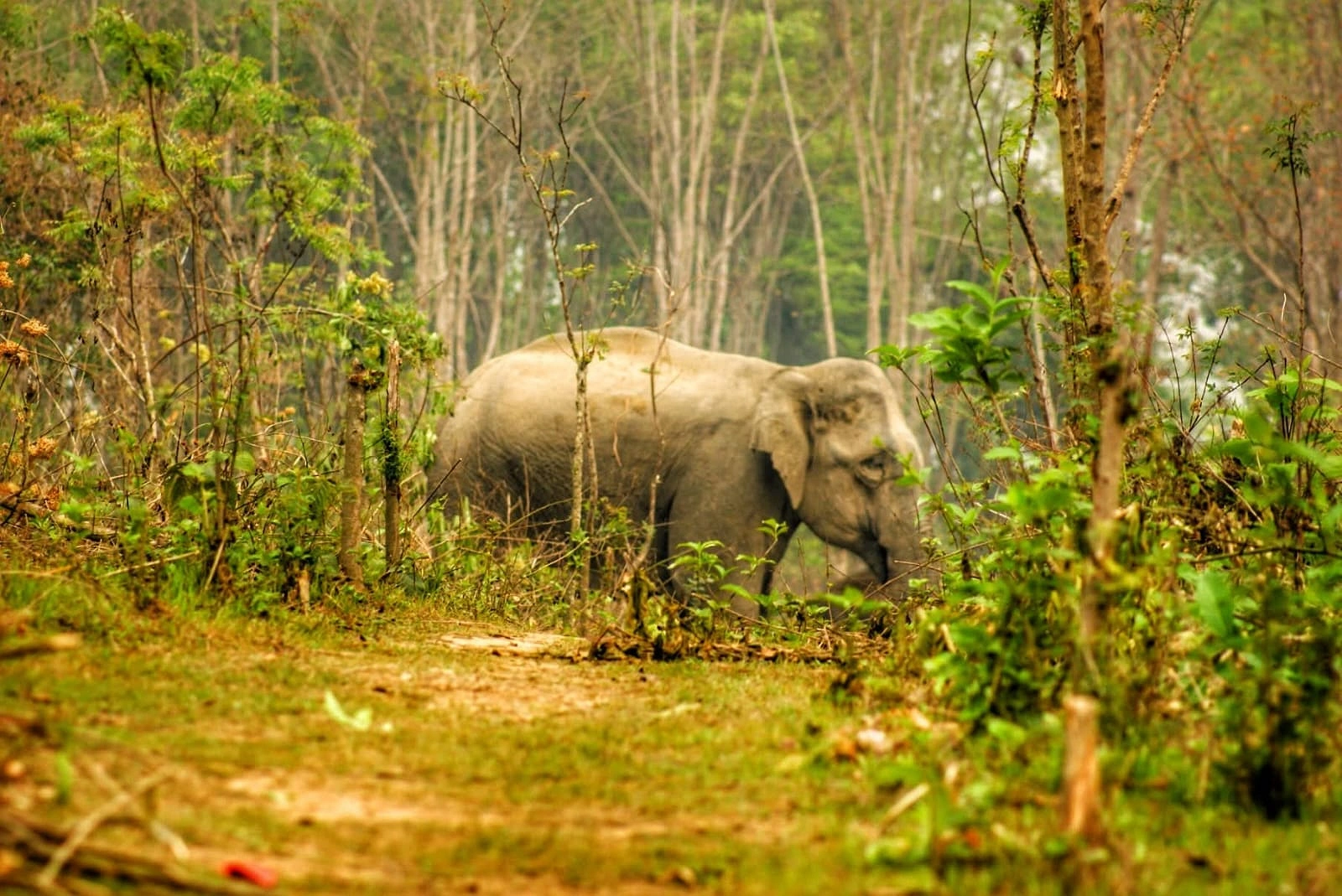 ছবি: মেহেদী হাসান