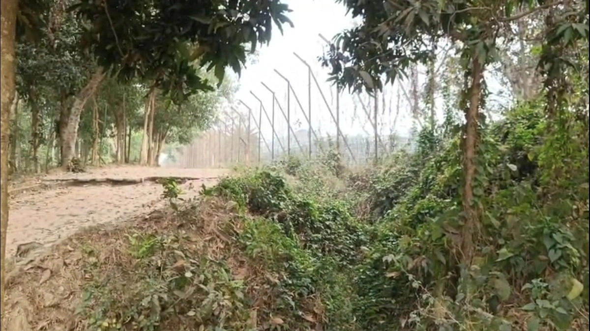 সীমান্তে বিএসএফের গুলিতে ২ বাংলাদেশি নিহত