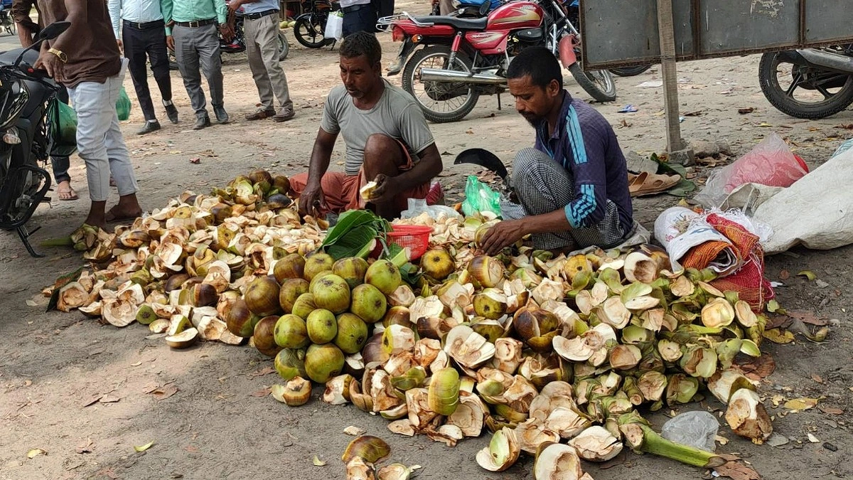গরমে কদর বাড়ছে তালের শাঁসের