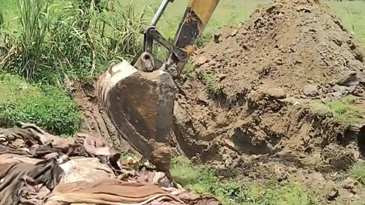 চামড়ার ন্যায্যমূল্য না পেয়ে পুঁতে ফেললেন ব্যবসায়ীরা