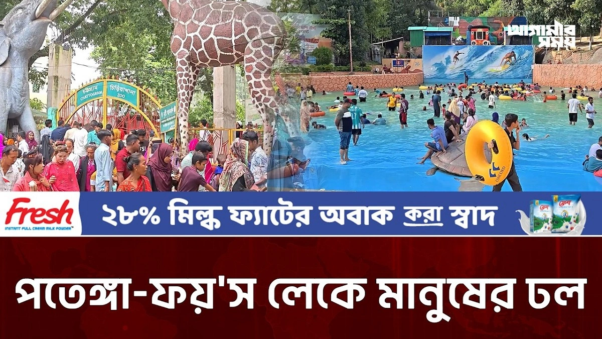 Video news 4