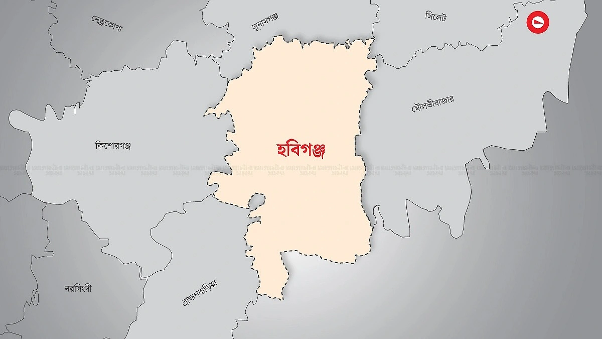 হবিগঞ্জে বনাঞ্চলের গাছ লুট, জব্দ দুই গাড়ি