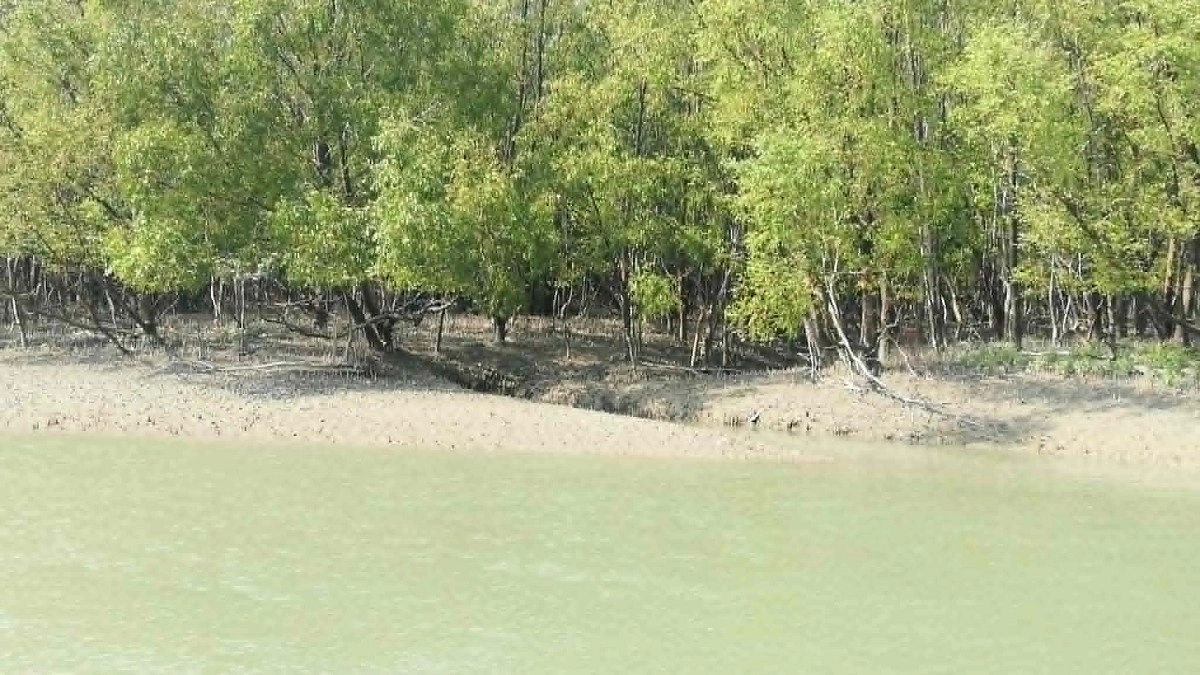দস্যুর ডেরায় ২৪ দিন: ৬০ হাজার মুক্তিপণে ফিরলেন ২ জেলে