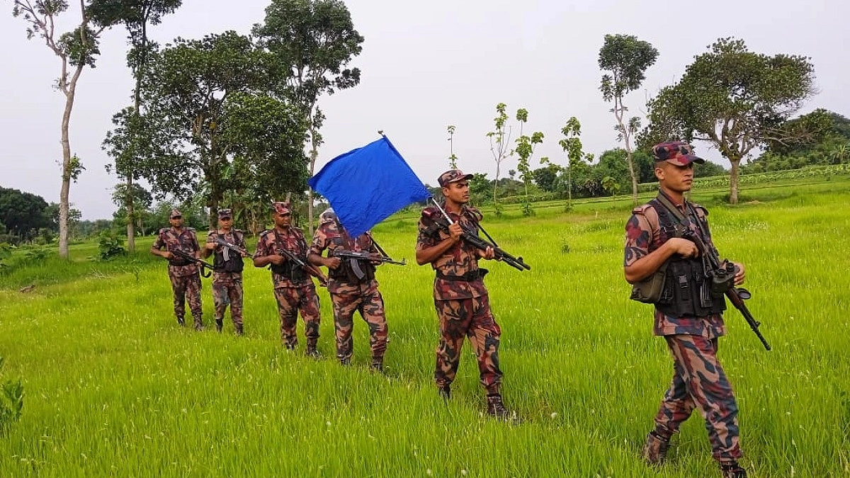 চামড়া পাচার ঠেকাতে সীমান্তে নিরাপত্তা জোরদার