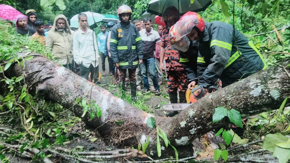 লাউয়াছড়ায় গাছ পড়ে ৩ ঘণ্টা বন্ধ সড়ক