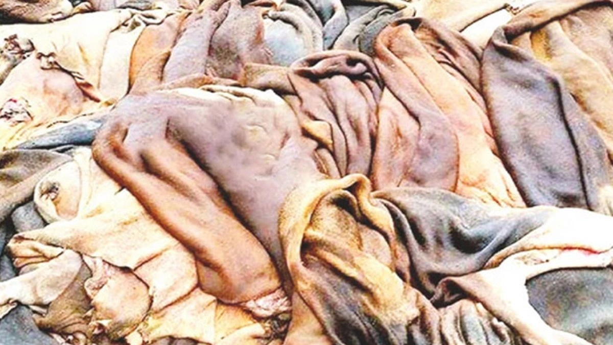 নামমাত্র দামে বিক্রি হচ্ছে কোরবানির পশুর চামড়া