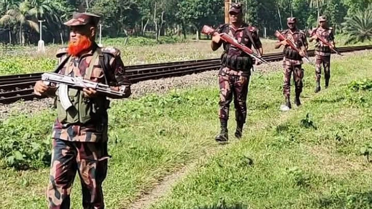 চামড়া পাচার রোধে হিলি সীমান্তে বিজিবির কঠোর নজরদারি