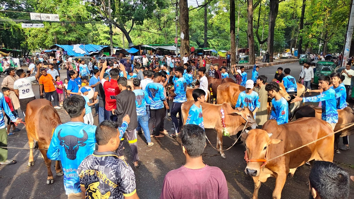 ঈদের আগে চট্টগ্রামে কোরবানির পশু নিয়ে আনন্দর‌্যালি