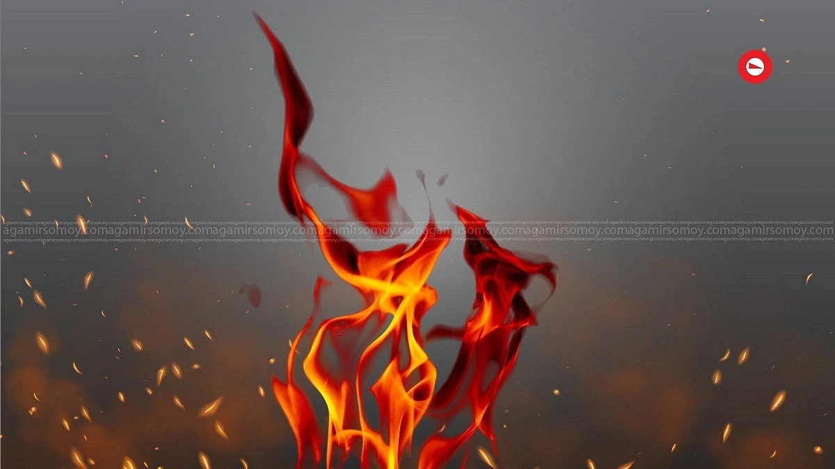 বাড্ডায় চিপসের কারখানায় আগুন, দুই শ্রমিকের মৃত্যু