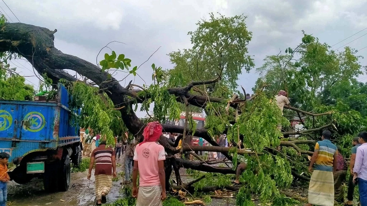 পাবনায় ঝড়ে গাছ পড়ে যান চলাচল বন্ধ মহাসড়কে