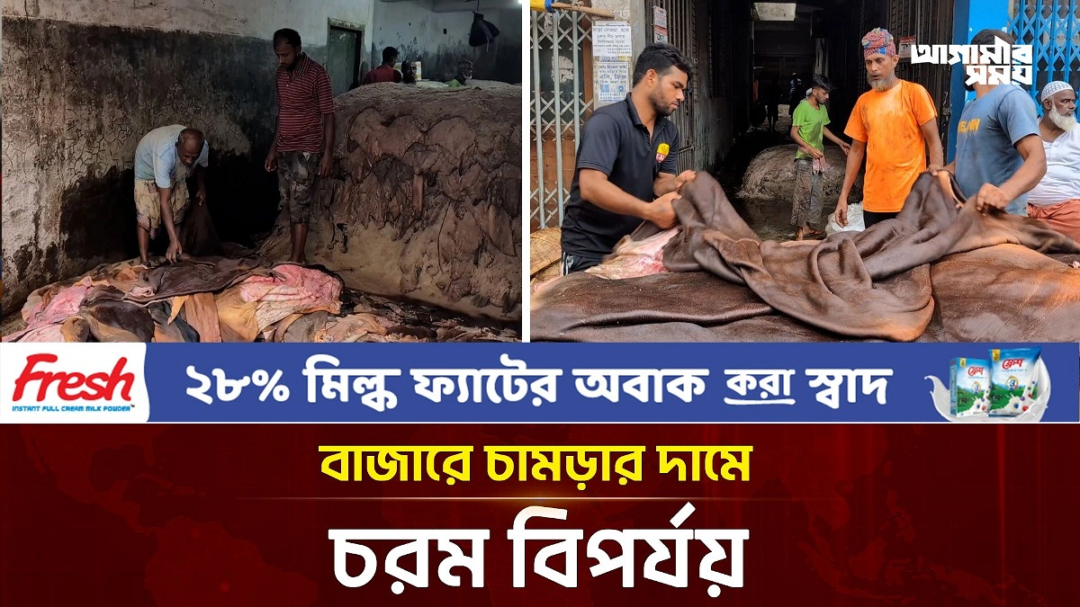Video news 1