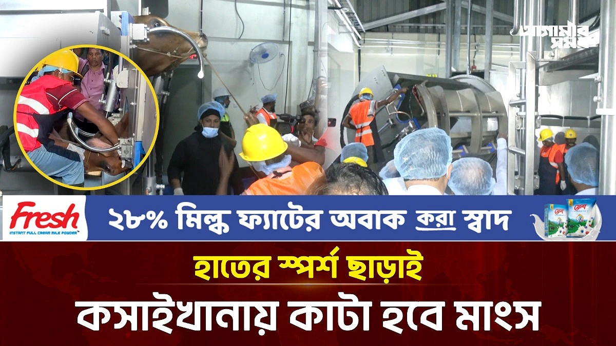 Video news 2