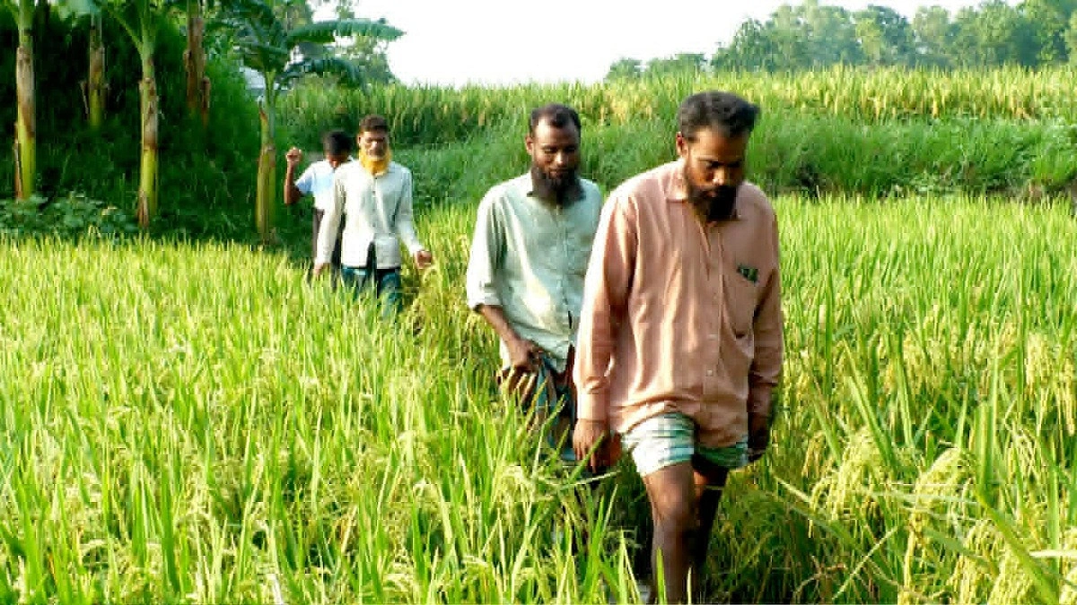 ৩৮ বছরেও সেতু হয়নি, ৮ গ্রামের ২০ হাজার মানুষের দুর্ভোগ