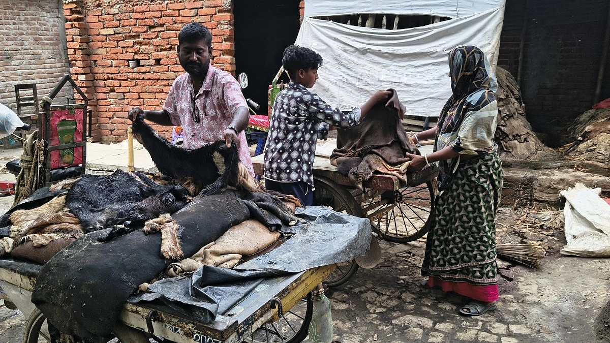 গরুর চামড়া ৫০০, ছাগলেরটা ফ্রি!