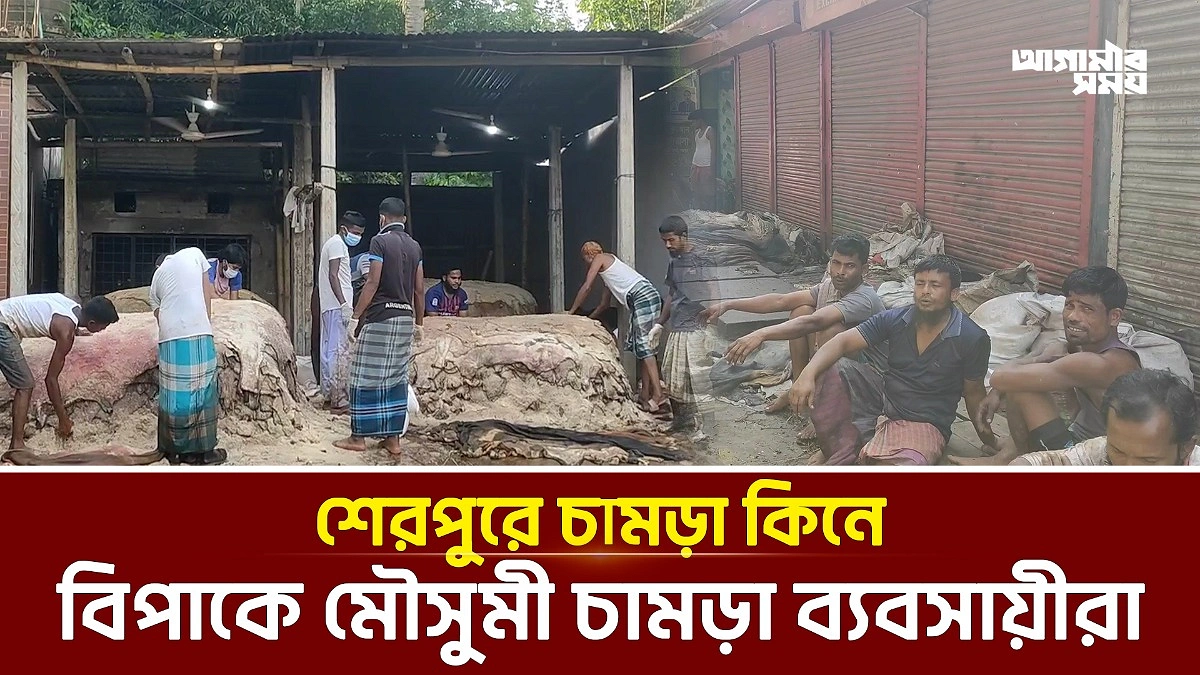 Video news 4