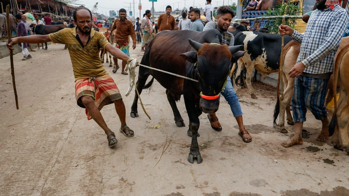টানা বৃষ্টিতে গাবতলী পশুর হাটের বিভিন্ন স্থানে জমেছে পানি, বেড়েছে ক্রেতা-বিক্রেতার ভোগান্তি।