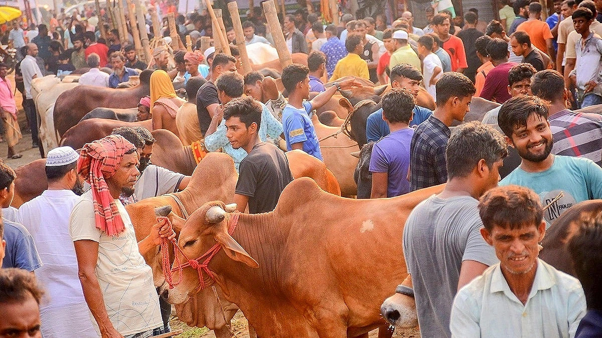 জোগান বেশি দাম বেশি আশাও বেশি