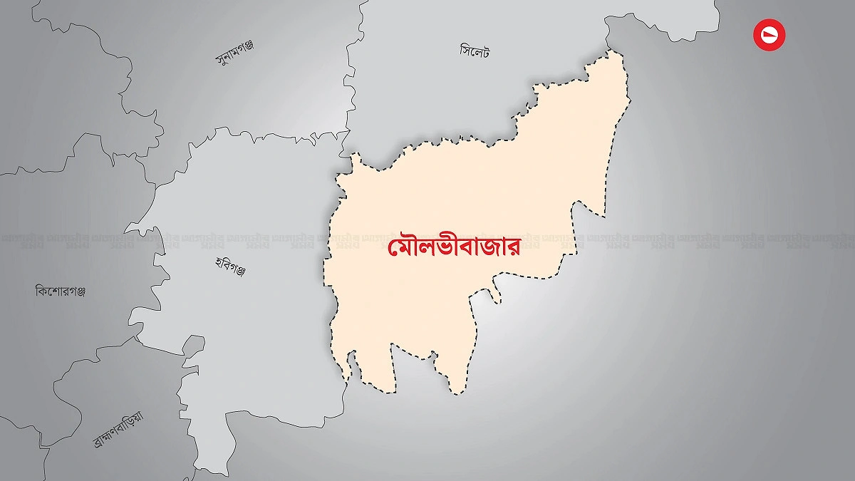 চাওয়া শুধু একটি হিমাগার