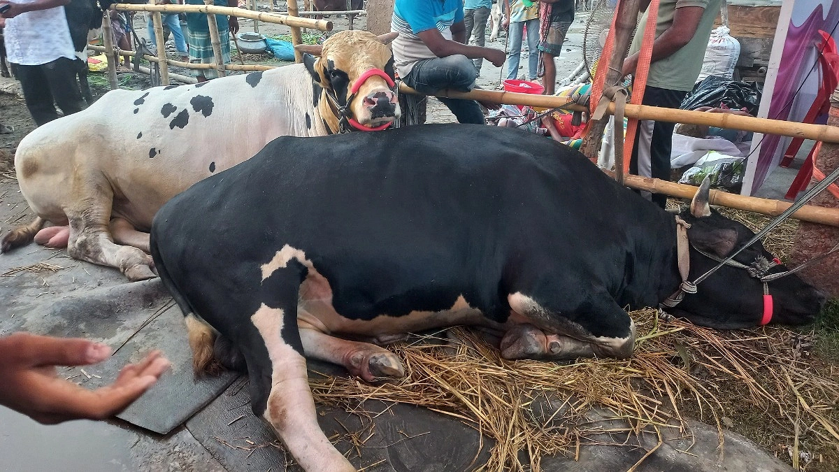 রাত পোহালেই ঈদ, অবিক্রিত ‘সাদা ও কালো পাহাড়’