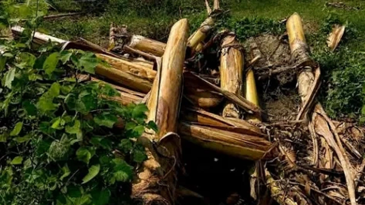 ফরিদপুরে মাটিচাপা অবস্থায় নারী ও শিশুর মরদেহ উদ্ধার