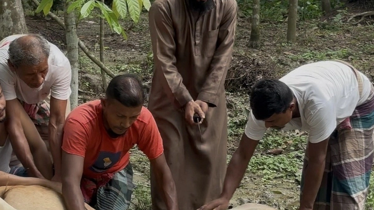 বাউফলের ১৮টি গ্রামে আজ ঈদুল আজহা উদযাপন