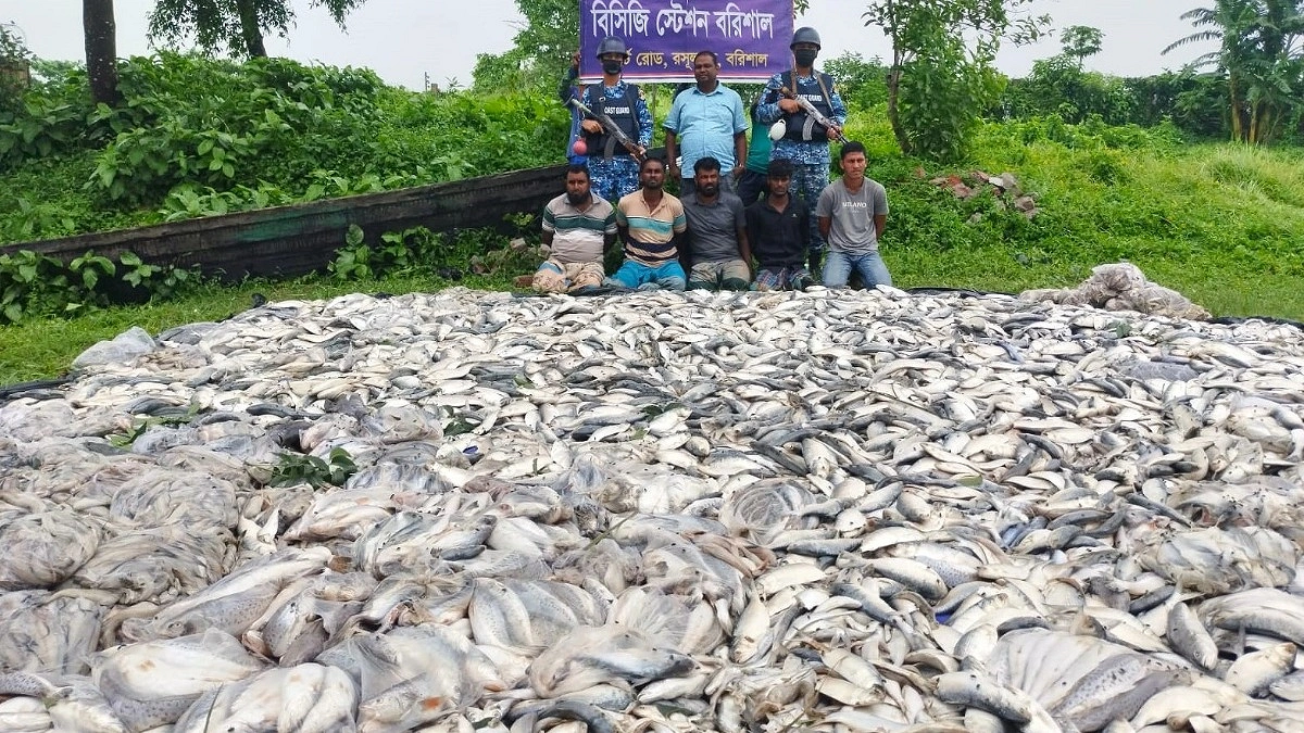 নিষেধাজ্ঞার মধ্যে বরিশালে অভিযান, ৩৫ লাখ টাকার মাছ জব্দ