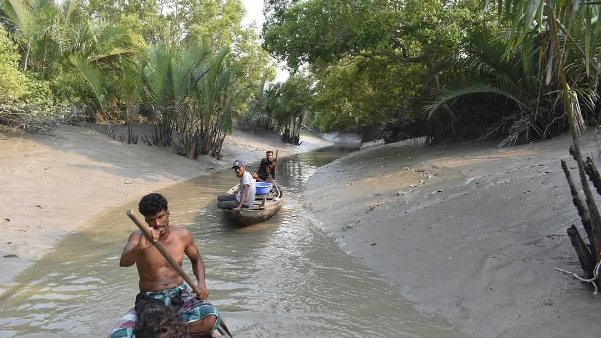 সুন্দরবন বাঁচাতে ৩ মাসের নিষেধাজ্ঞা, উপকূলে অভাবের শঙ্কা