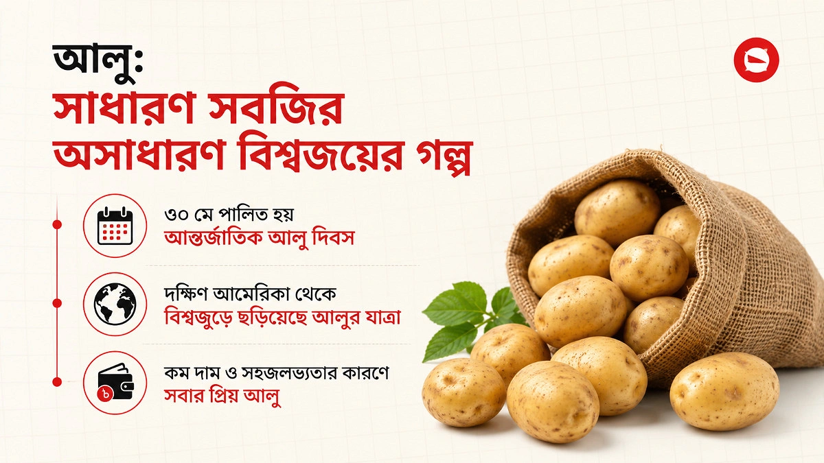 আলুকে কি গণতান্ত্রিক সবজি বলা যায়?