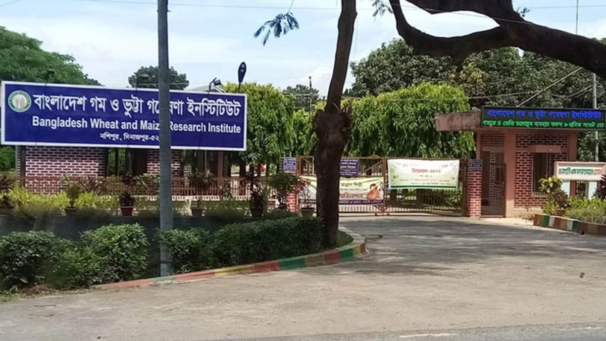 বিডব্লিউএমআরআইয়ের ৩৫ কর্মচারীর চাকরি সংকটে, হস্তক্ষেপ চান কৃষিমন্ত্রীর
