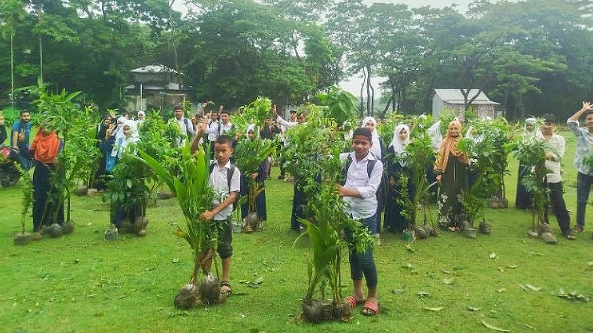 উপকূল রক্ষায় চরফ্যাশনে বিনামূল্যে গাছের চারা বিতরণ