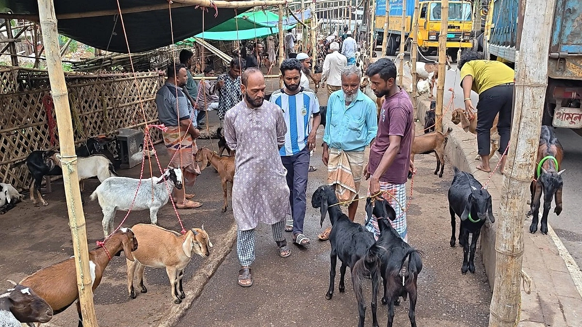 ২৪ ঘণ্টার ছাগলের হাট পোস্তারপাড়