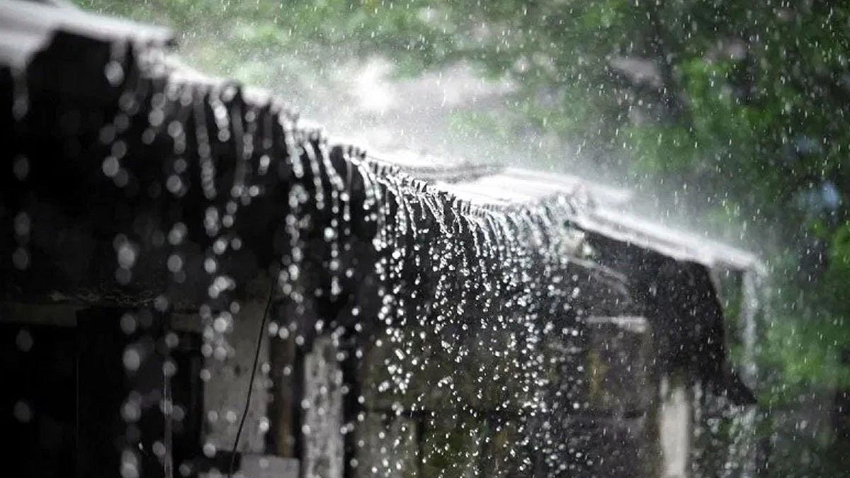 ৫ দিন বৃষ্টির প্রবণতা বাড়তে পারে, তাপমাত্রা নিয়ে নতুন বার্তা