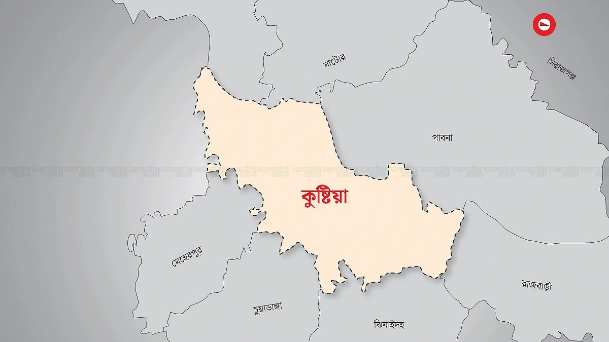 কুষ্টিয়ায় ফিজিওথেরাপিস্টের ওপর হামলা, ৪৮ ঘণ্টার মধ্যে গ্রেপ্তার দাবি