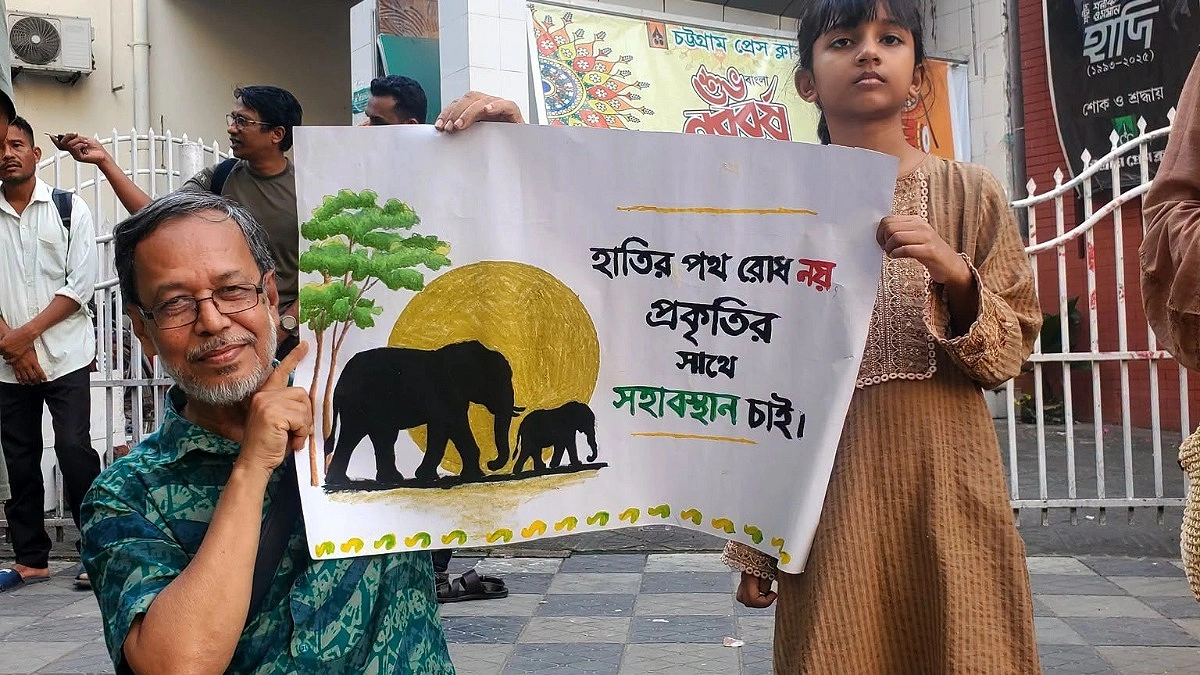 বোয়ালখালীতে লোকালয়ে হাতি, এলাকায় আতঙ্ক