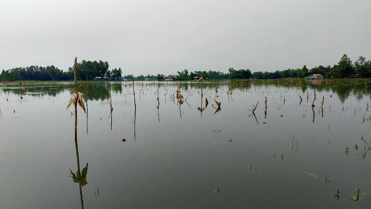ছবি: আগামীর সময়