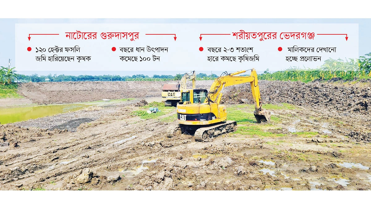 ফসলের মাঠে পুকুরের রাজত্ব