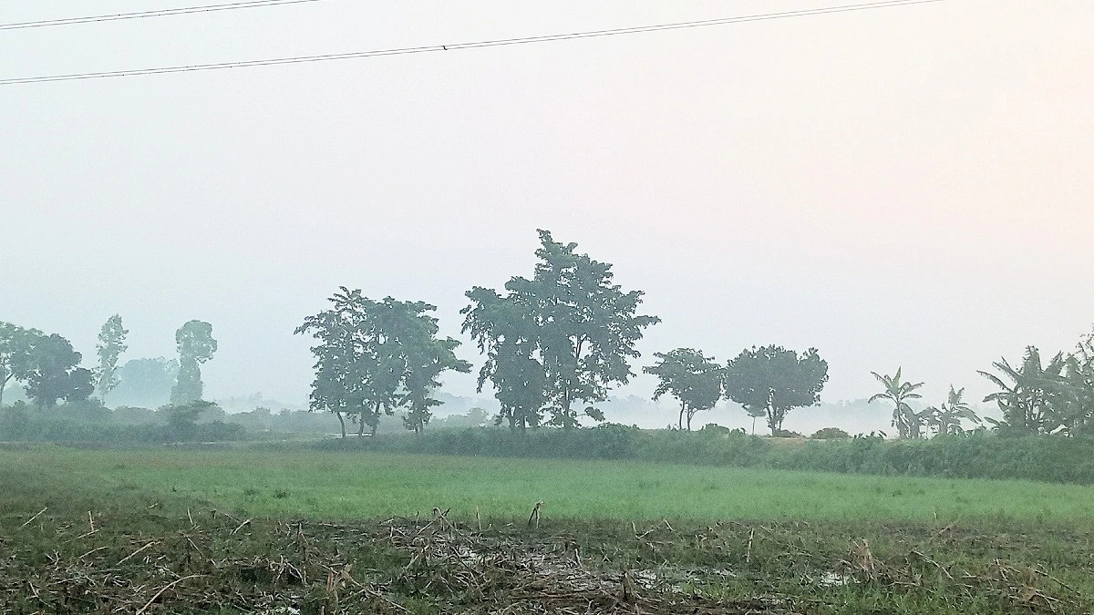 গরমের মাঝেই দিনাজপুরে ঘন কুয়াশা