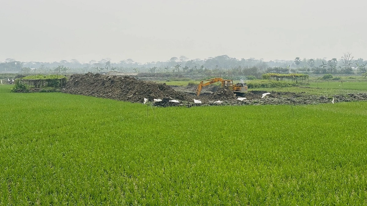 ফসলি জমি গিলে খাচ্ছে পুকুর, ক্ষতিগ্রস্ত কৃষক