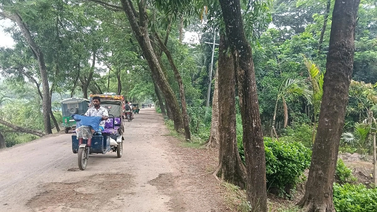 গাছের ডালপালায় ক্ষতিগ্রস্ত হচ্ছে হাতিয়ার সড়ক